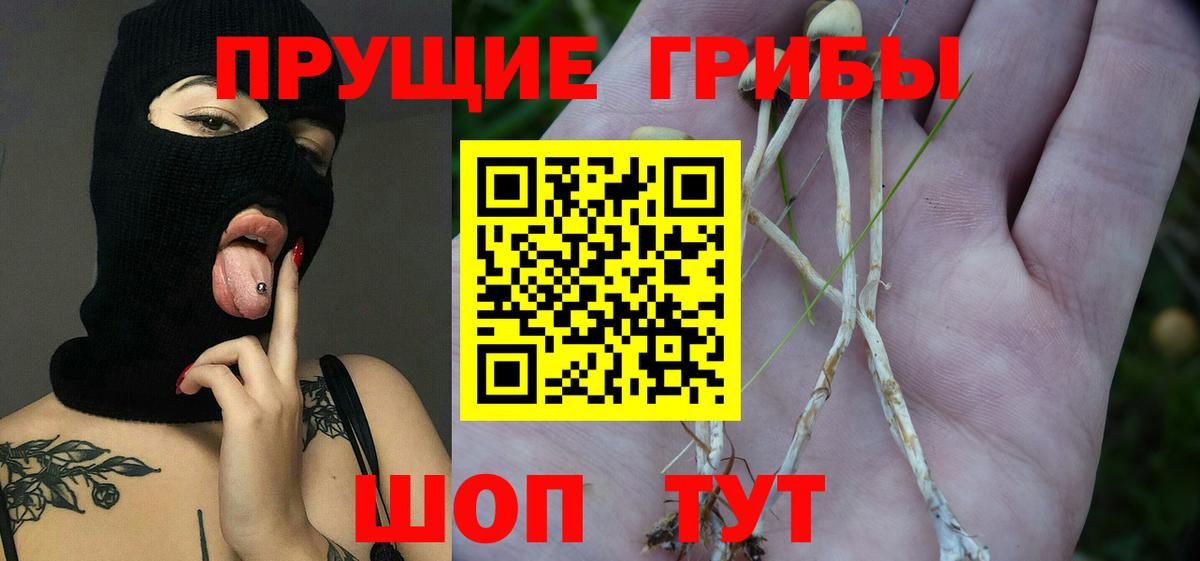 Псилоцибиновые грибы Magic Shrooms Гуково